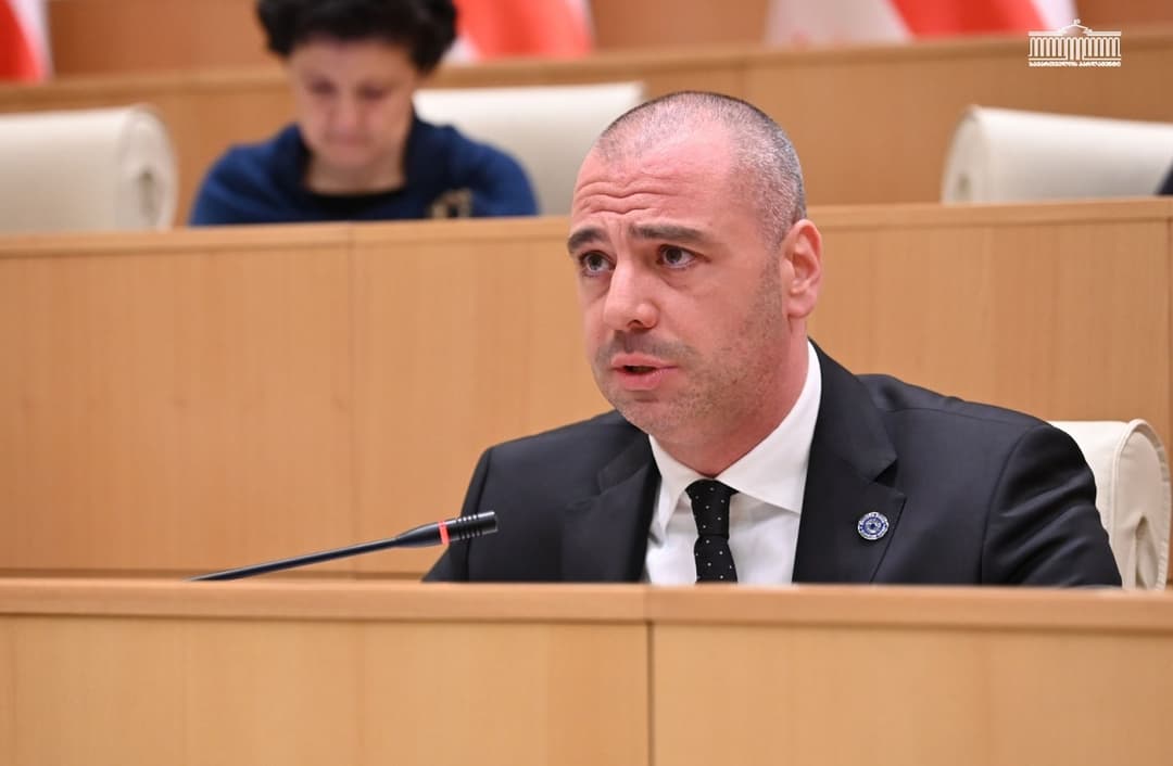 Ruling party MP claims Moscow Mechanism used against Georgia 