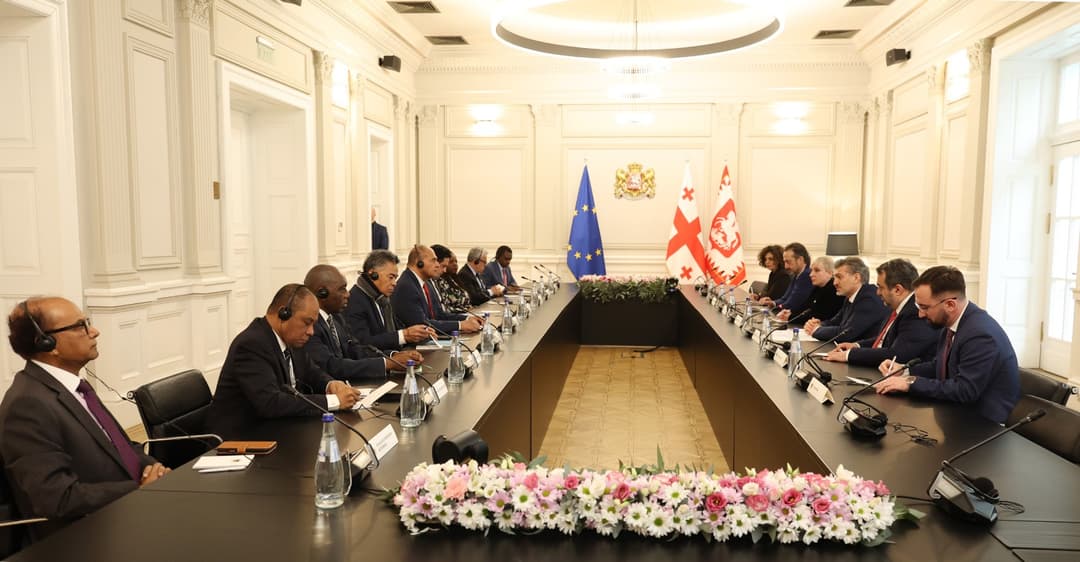 მიხეილ ყაველაშვილმა გაერთიანებული ერების ორგანიზაციასთან აკრედიტებულ ელჩებთან შეხვედრა გამართა