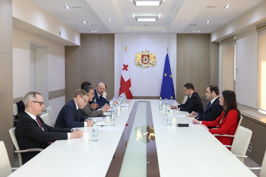 ლევან ჟორჟოლიანი "ვაიმარის სამკუთხედის“ ქვეყნების საგარეო საქმეთა სამინისტროების დელეგაციას შეხვდა