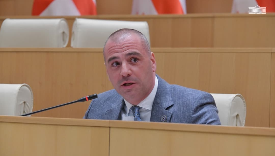 Opposition concerned by Mdinaradze’s expanded political role, ruling party MP