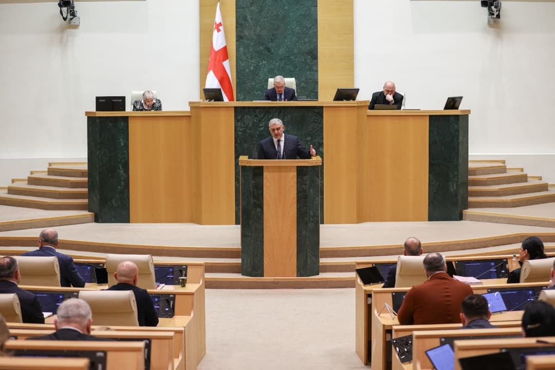 მიხეილ სარჯველაძე - შშმ პირთათვის საყოველთაო ჯანდაცვის პროგრამით გათვალისწინებულია, პრაქტიკულად, ყველაზე მეტი შეღავათი და პრივილეგია