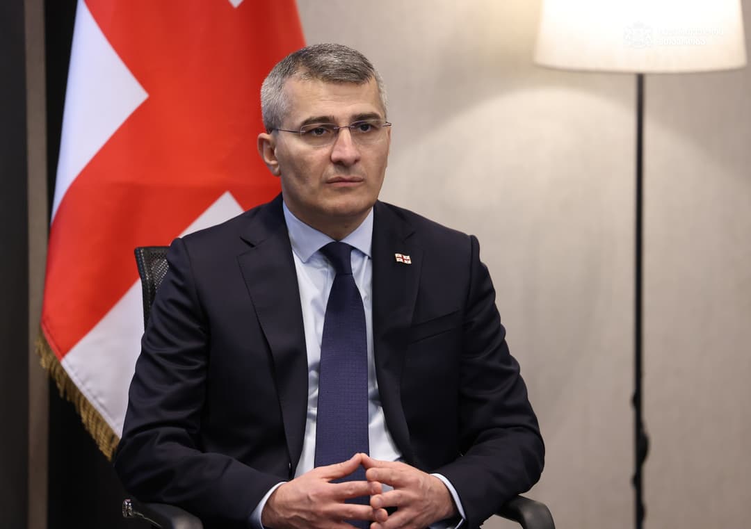 Ex-State Security chief Mdinaradze appointed state minister for law enforcement coordination vice PM 