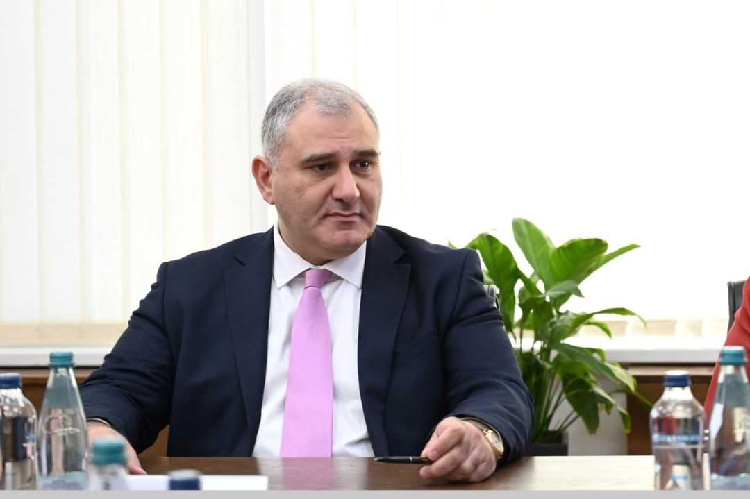 მიხეილ სარჯველაძე - ექიმებს, რომლებიც დადიან სამინისტროში, აქვთ თავიანთი რეპუტაცია და ასე მოხსენიება თითქოს ვინმე მათ რამეს კარნახობს, უპატივცემულობაა