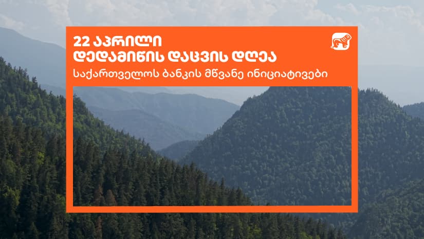"საქართველოს ბანკი" დედამიწის დღეს მწვანე ინიციატივებს აჯამებს