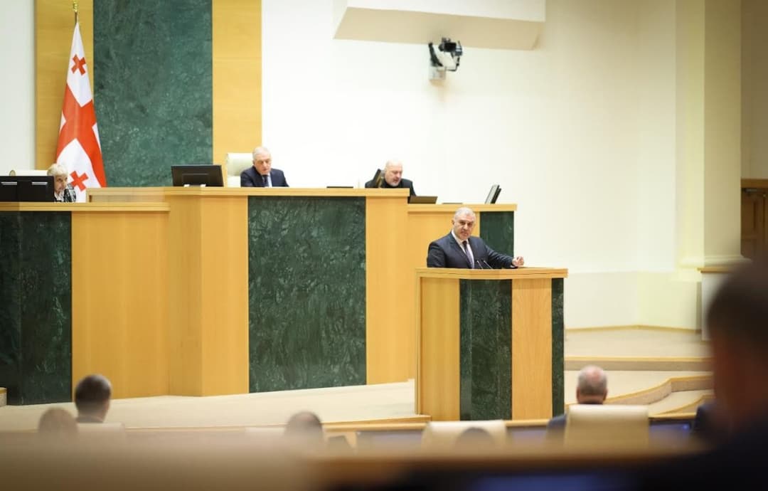მიხეილ სარჯველაძე - 2023-2025 წლებში მოსახლეობამ ჯამში 853 მლნ ლარით ნაკლები გადაიხადა მედიკამენტებზე, საშუალოდ 40%-ით ნაკლები