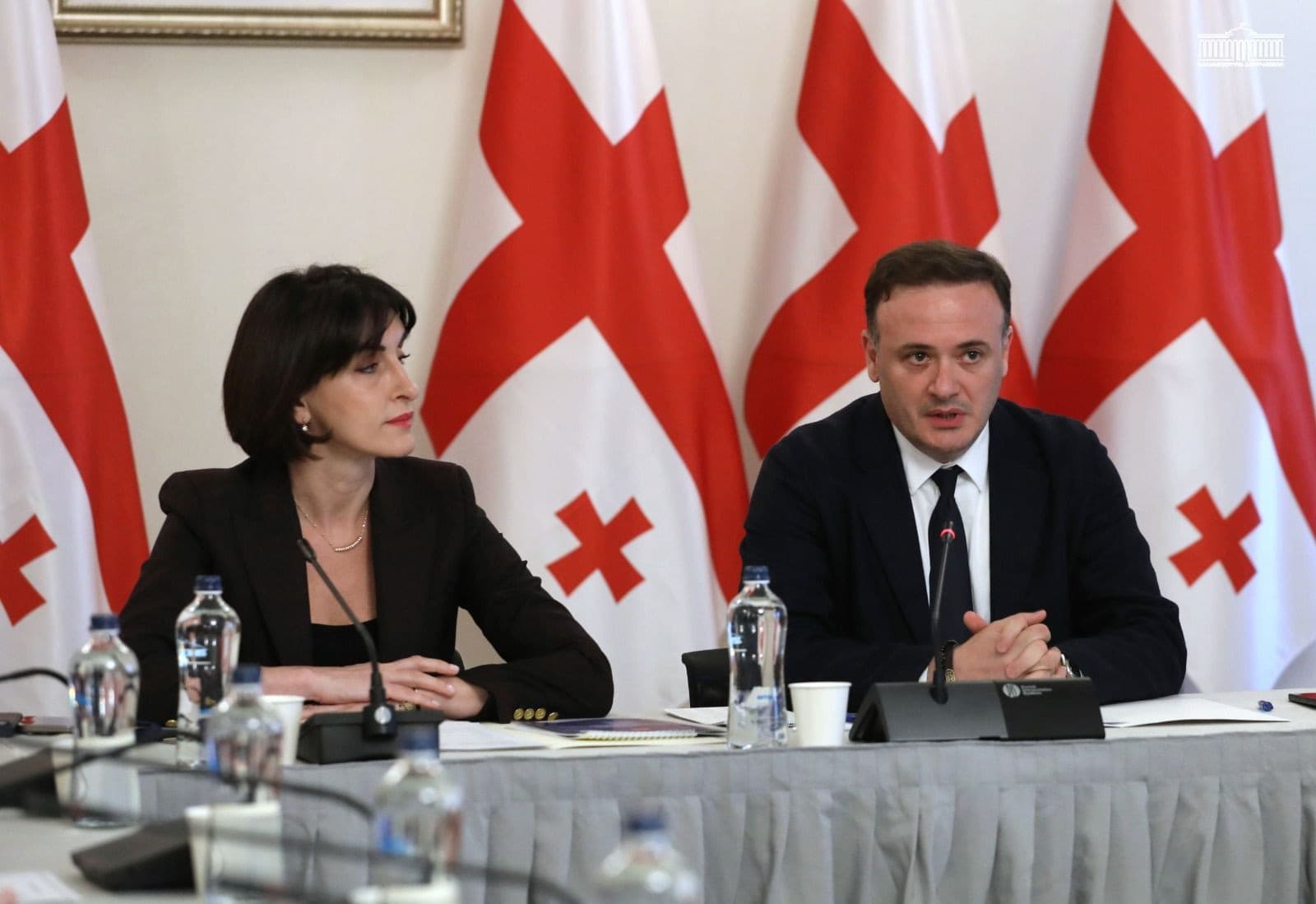 დიასპორის კომიტეტის სხდომაზე მაკა ბოჭორიშვილს მოუსმინეს