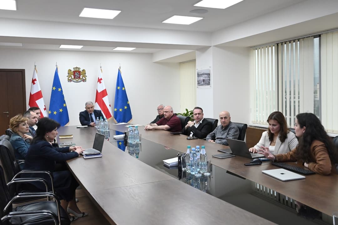 რეფერენტული ფასების კომისიამ მედიკამენტების ფასების რეგულირების საკითხები განიხილა