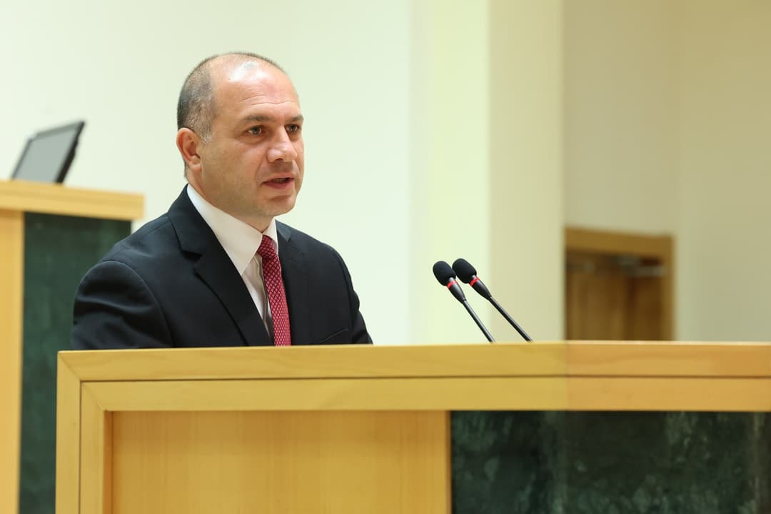 გივი მიქანაძემ პარლამენტში უმაღლესი განათლების სისტემის რეფორმის შესახებ ისაუბრა