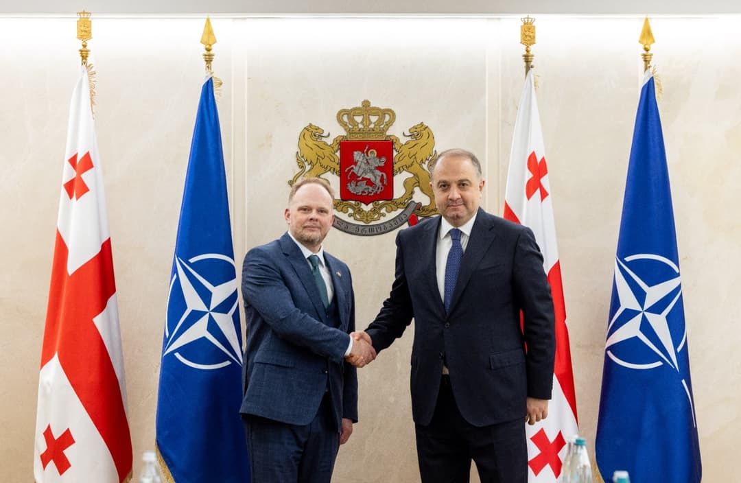 ირაკლი ჩიქოვანმა ნატოს გენერალური მდივნის სპეციალურ წარმომადგენელთან შეხვედრა გამართა