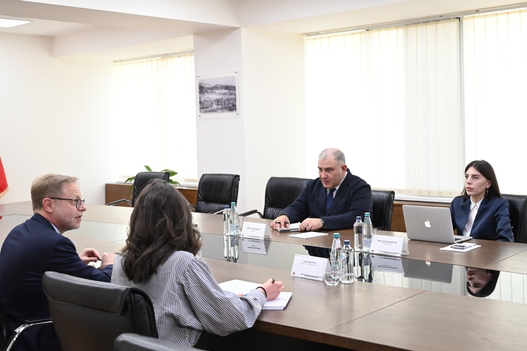 Georgian Health Minister, French Ambassador discuss bilateral cooperation