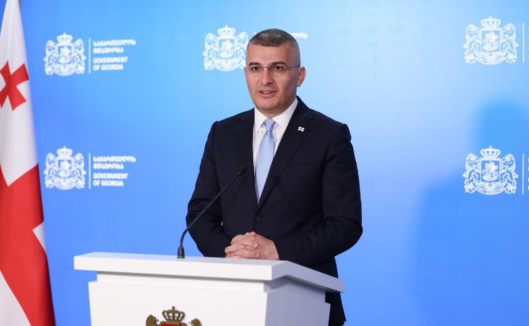 Vice PM Mdinaradze: debates over arrested anti-gov’t demonstrators block unity, reconciliation