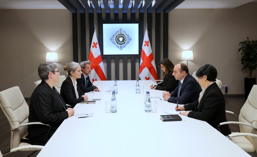 გეკა გელაძე საქართველოში წითელი ჯვრის საერთაშორისო კომიტეტის დელეგაციის ხელმძღვანელს შეხვდა