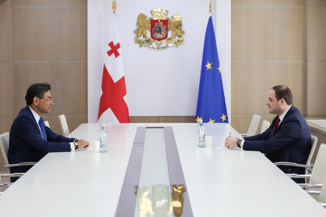 ლევან ჟორჟოლიანი თურქეთის ელჩს შეხვდა