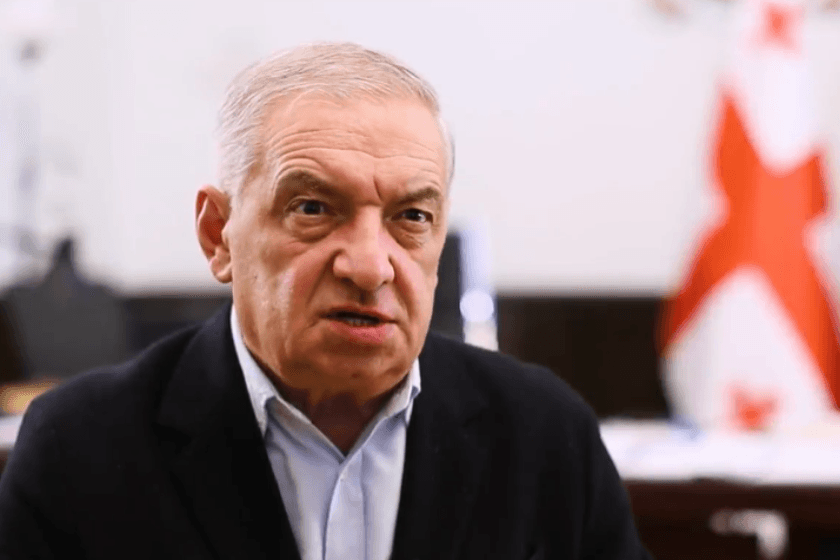 Vice Speaker: opposition ‘planning revolutions’, rejects ex-Pres Saakashvili’s criticism