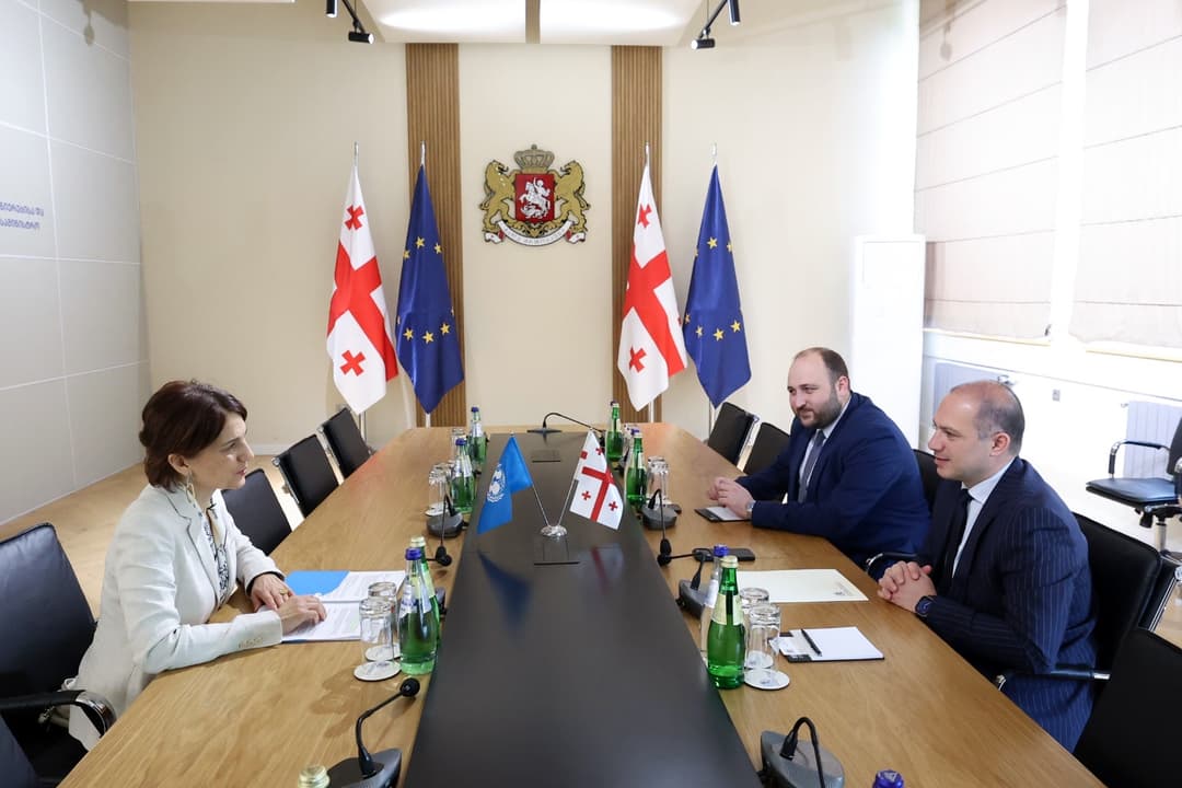 გივი მიქანაძემ საქართველოში UNICEF-ის წარმომადგენელს უმასპინძლა
