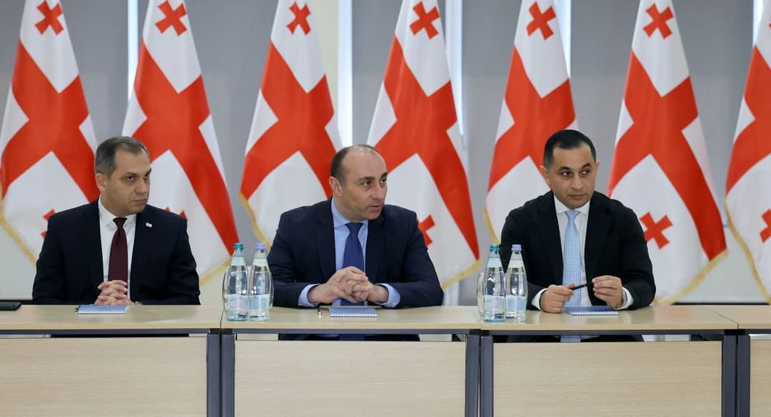 გეკა გელაძემ სახელმწიფო უსაფრთხოების აკადემიის ხელმძღვანელ პირებთან შეხვედრა გამართა