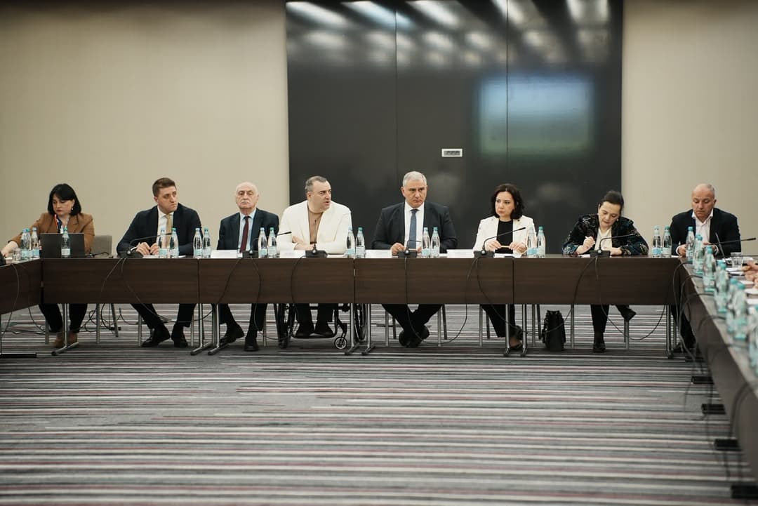 მიხეილ სარჯველაძემ შეზღუდული შესაძლებლობის სტატუსის ბიოფსიქოსოციალური მოდელის დანერგვის მიზნით შექმნილი საბჭოს პირველი სხდომა გამართა