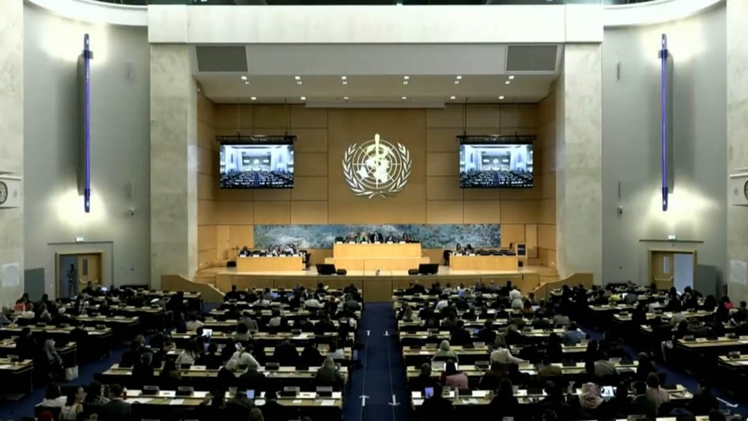 Georgia elected to WHO Executive Board