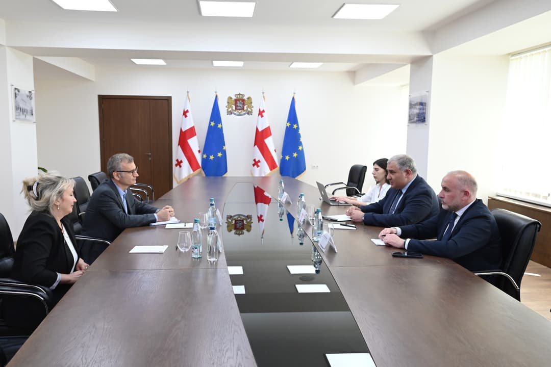 მიხეილ სარჯველაძე გლობალური ფონდის რეგიონული პროგრამების დირექტორს შეხვდა