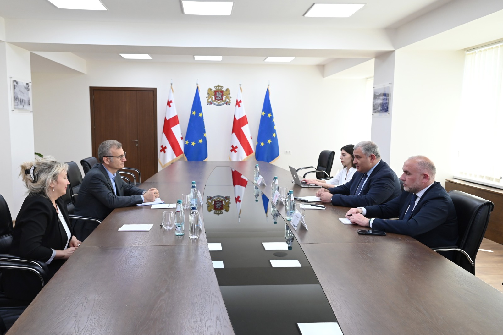 Georgian Health Minister, Global Fund official review cooperation and healthcare reforms
