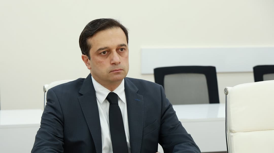 სახალხო დამცველი პოლიციელების მხრიდან ყველა სახის კანონსაწინააღმდეგო ქმედებას გმობს 