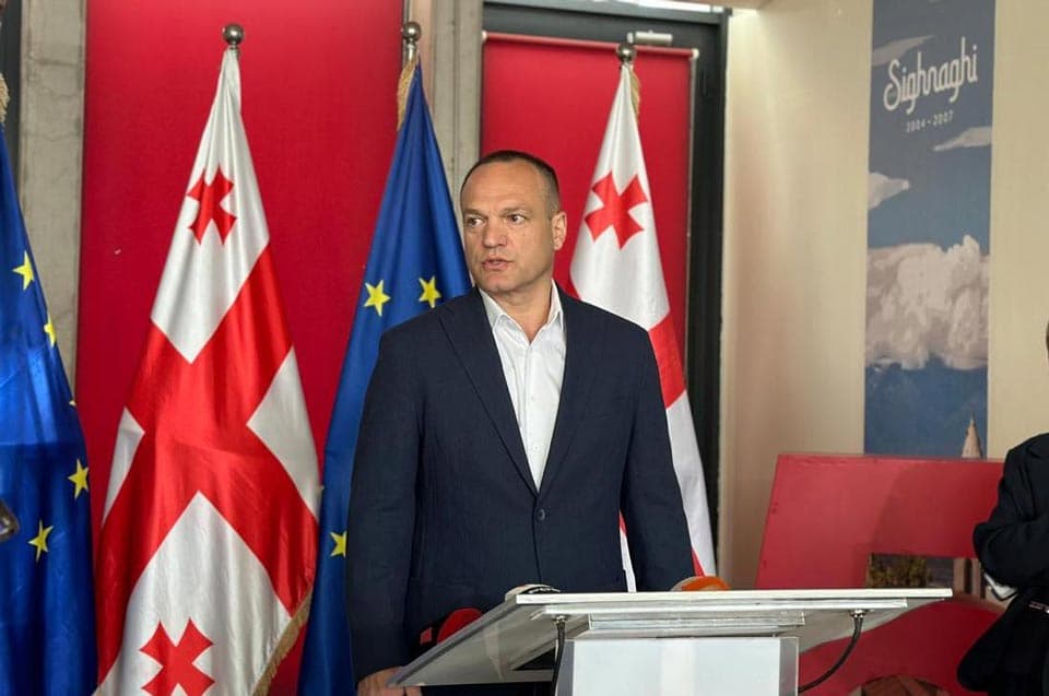 Opposition leader: Georgian Dream regime will collapse like dominoes