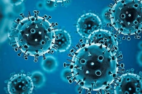 Georgia reports 616 cases of Covid in one week