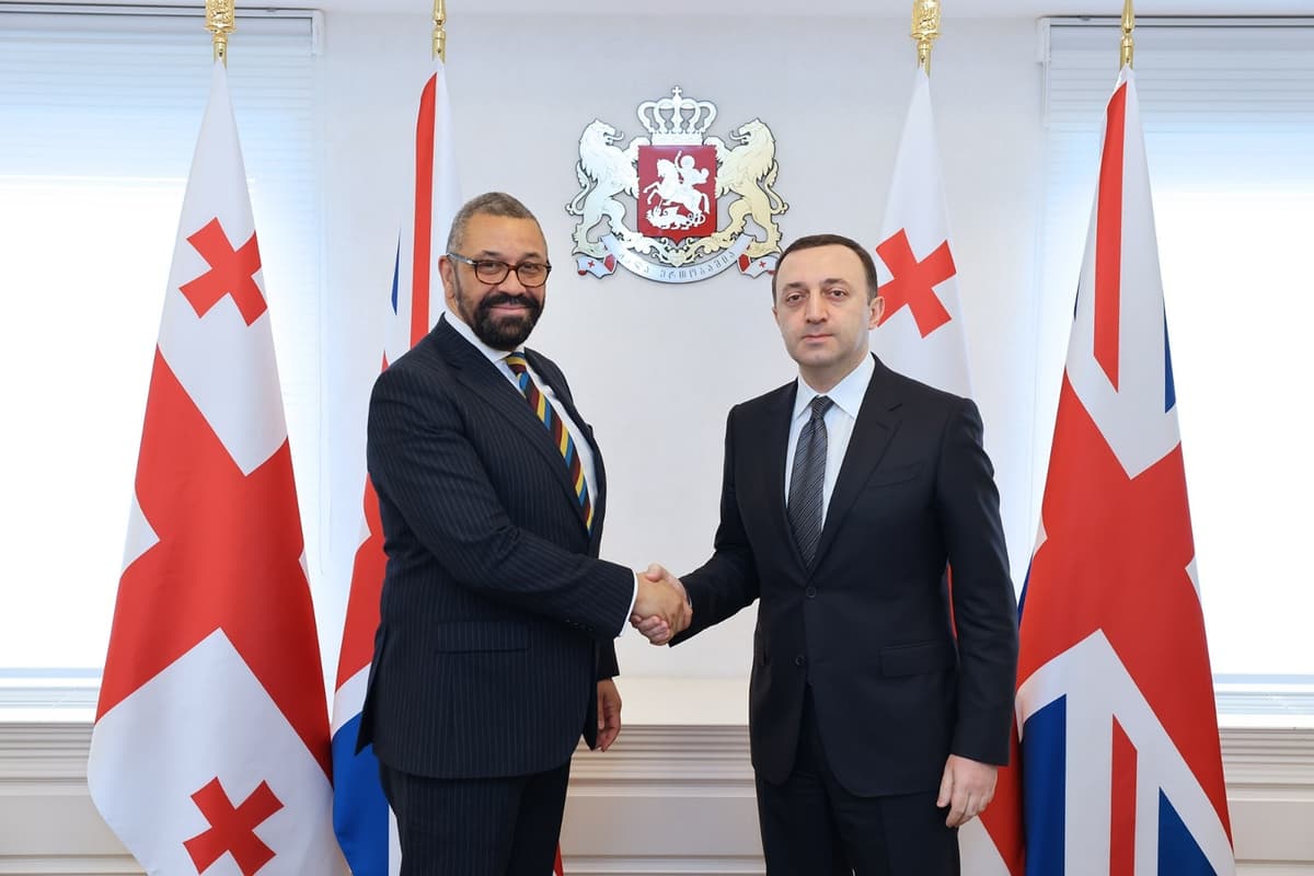 ირაკლი ღარიბაშვილი გაერთიანებული სამეფოს საგარეო, თანამეგობრობისა და განვითარების საქმეთა სახელმწიფო მდივანს შეხვდა