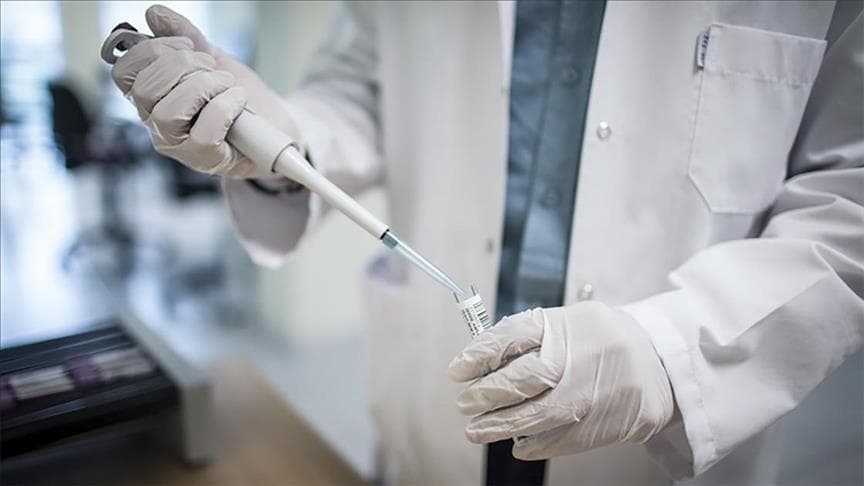 No suspected cases confirmed as monkeypox – Georgia’s National Centre for Disease Control
