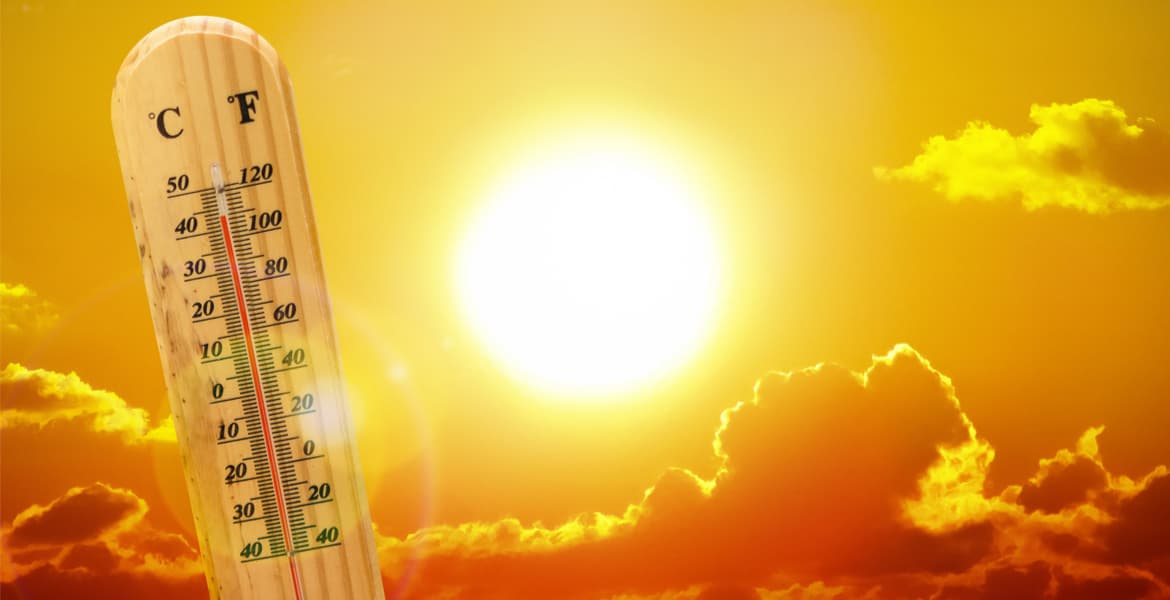 Environmental agency warns of high temperature, increased risks of forest fires