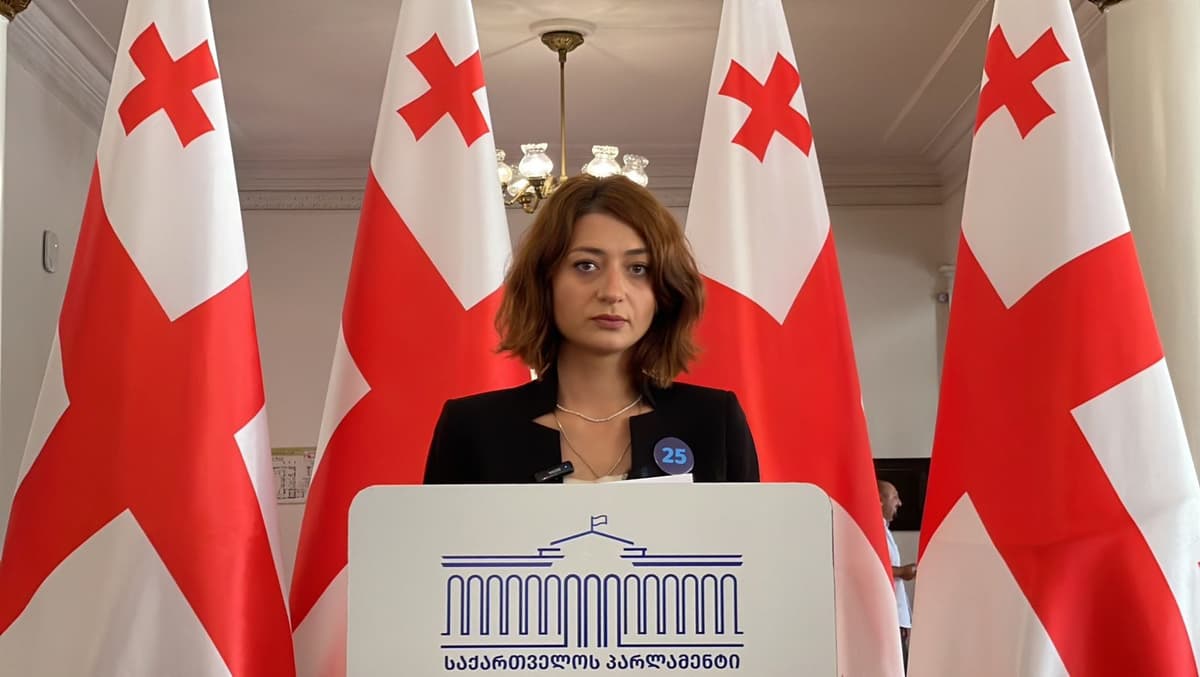 ანა ბუჩუკური – “ოცნება” გახარიას გუნდის წევრების, მხარდამჭერების და მათი ოჯახის წევრების პოლიტიკურ დევნას განაგრძობს