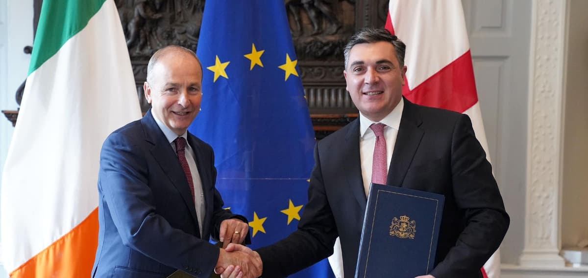ირლანდიის საგარეო საქმეთა მინისტრი – ირლანდია საქართველოს ევროკავშირში გაწევრიანების მტკიცე მხარდამჭერია