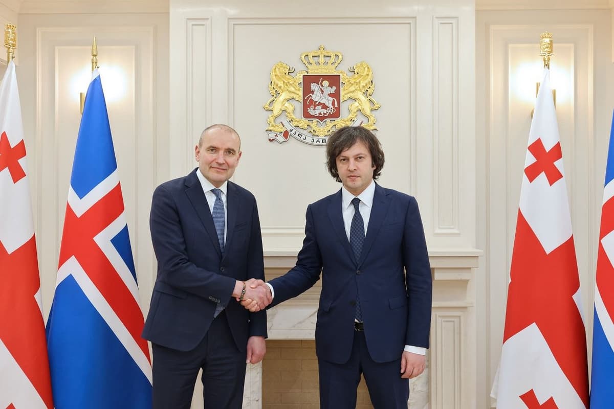 ირაკლი კობახიძე ისლანდიის პრეზიდენტს შეხვდა