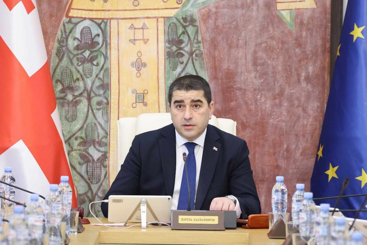 Georgian Parliament Speaker calls PACE resolution “regrettable”