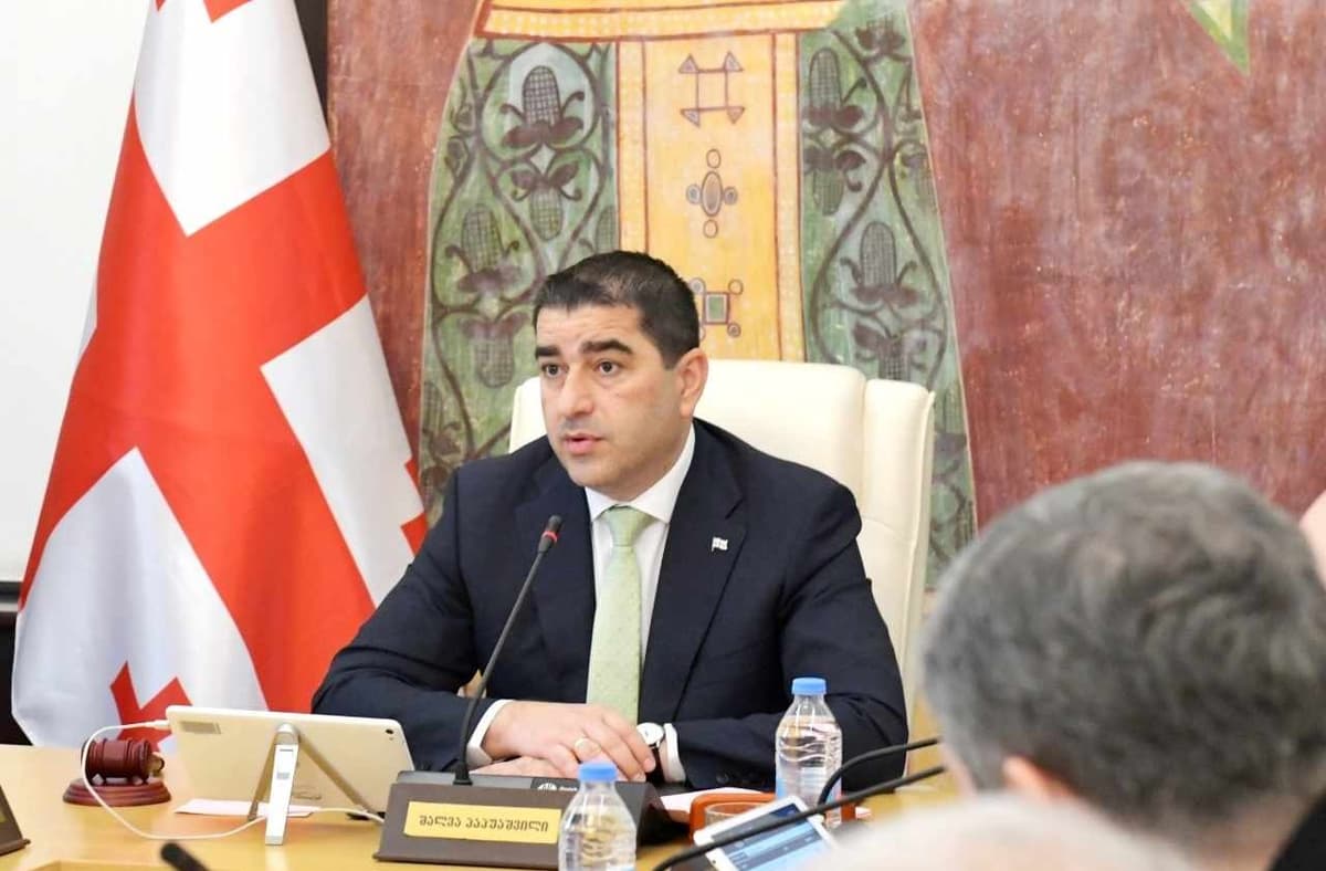 Georgia’s ruling party composes parliamentary commission on alleged crimes by previous Gov’t