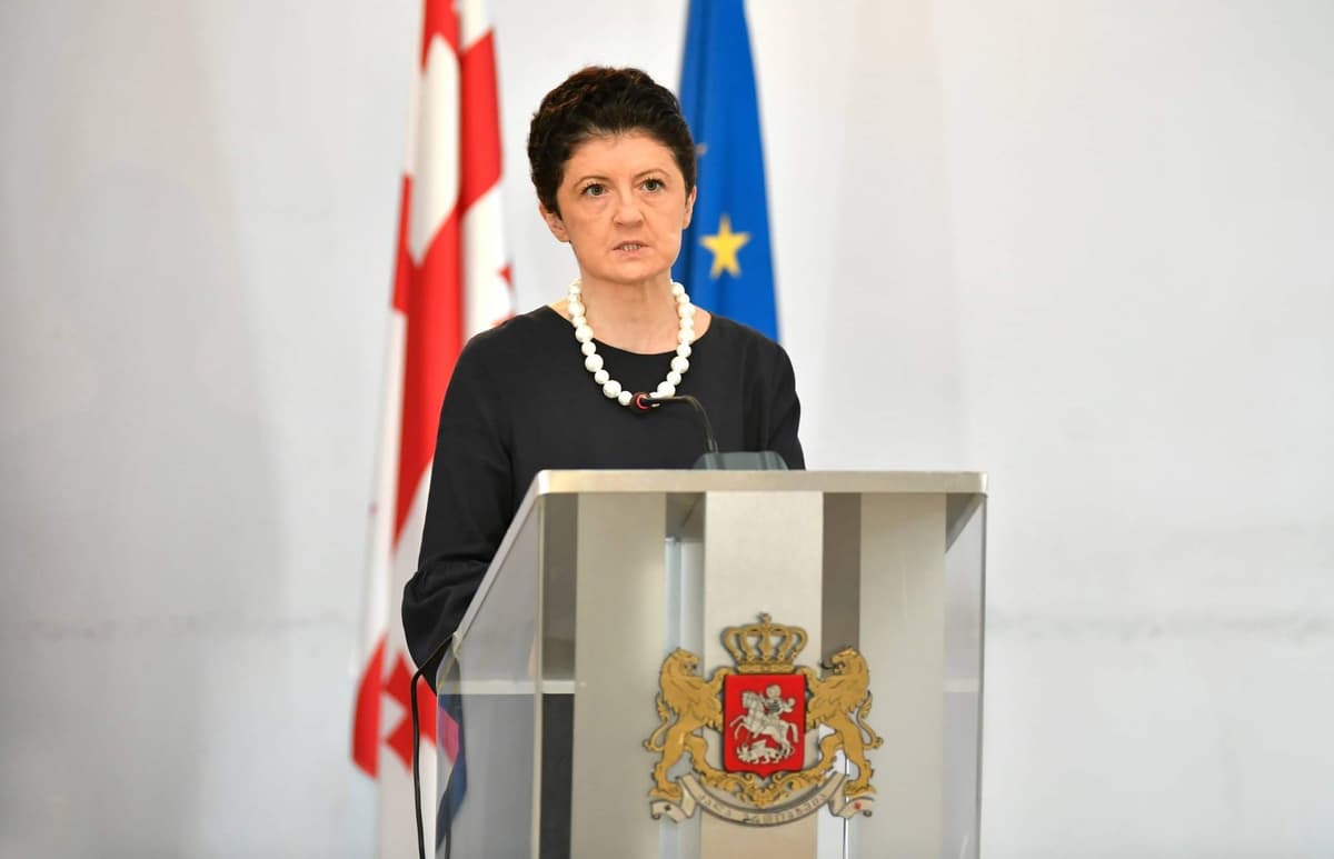 Georgian delegation withdraws from Parliamentary Assembly over “unfair and baseless” conditions
