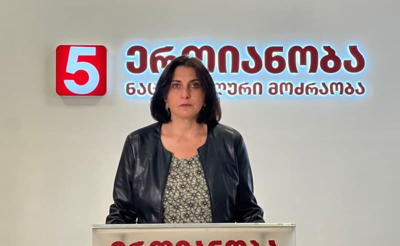 Opposition leader says 30 MPs challenge constitutionality of elections in court