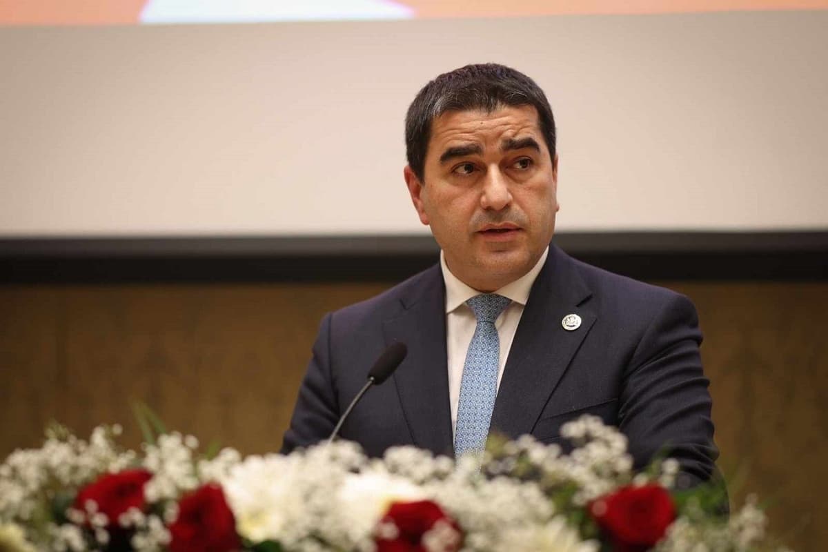 Ex-President Saakashvili’s infiltration into Georgia was planned, carried out by Ukrainian intelligence, Parliament Speaker