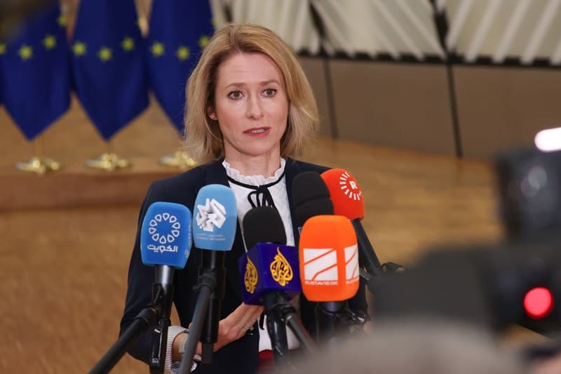 EU High Representative expresses concern over arrests in Georgia
