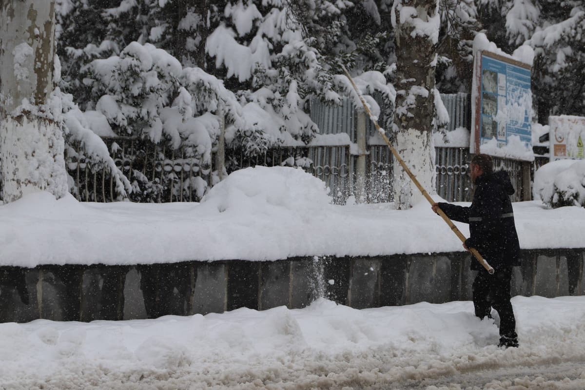 Georgian Government mobilises defense forces for heavy snowfall relief