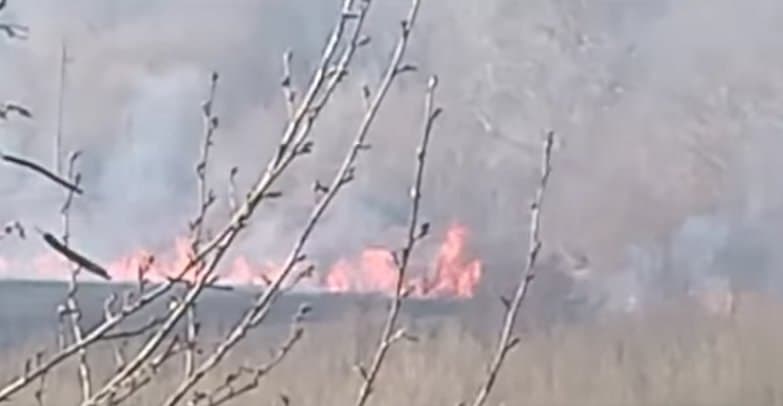 Wildfire rages in Tsalenjikha, threatens residential areas