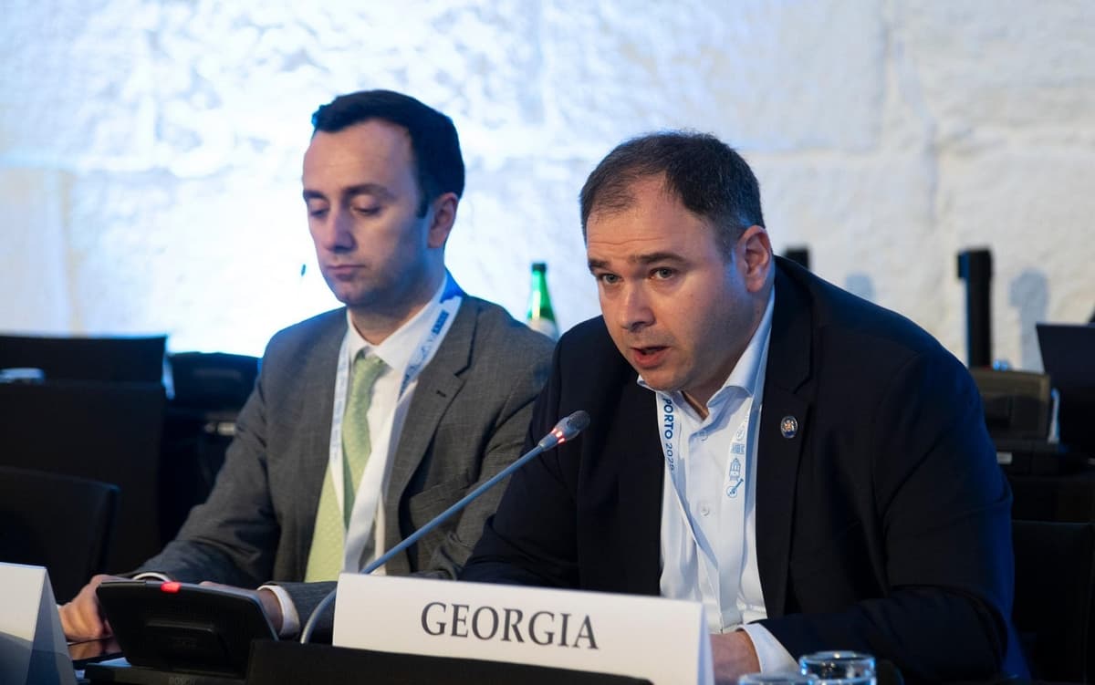 Georgian senior MP slams OSCE amendments as ‘absurd’ at Parliamentary Assembly session