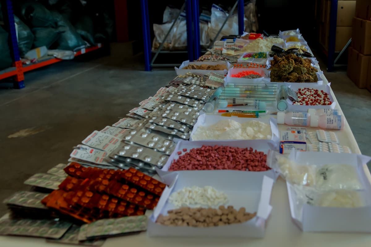 Georgian law enforcement destroy over 450kg of illegal drugs worth seven mln GEL 