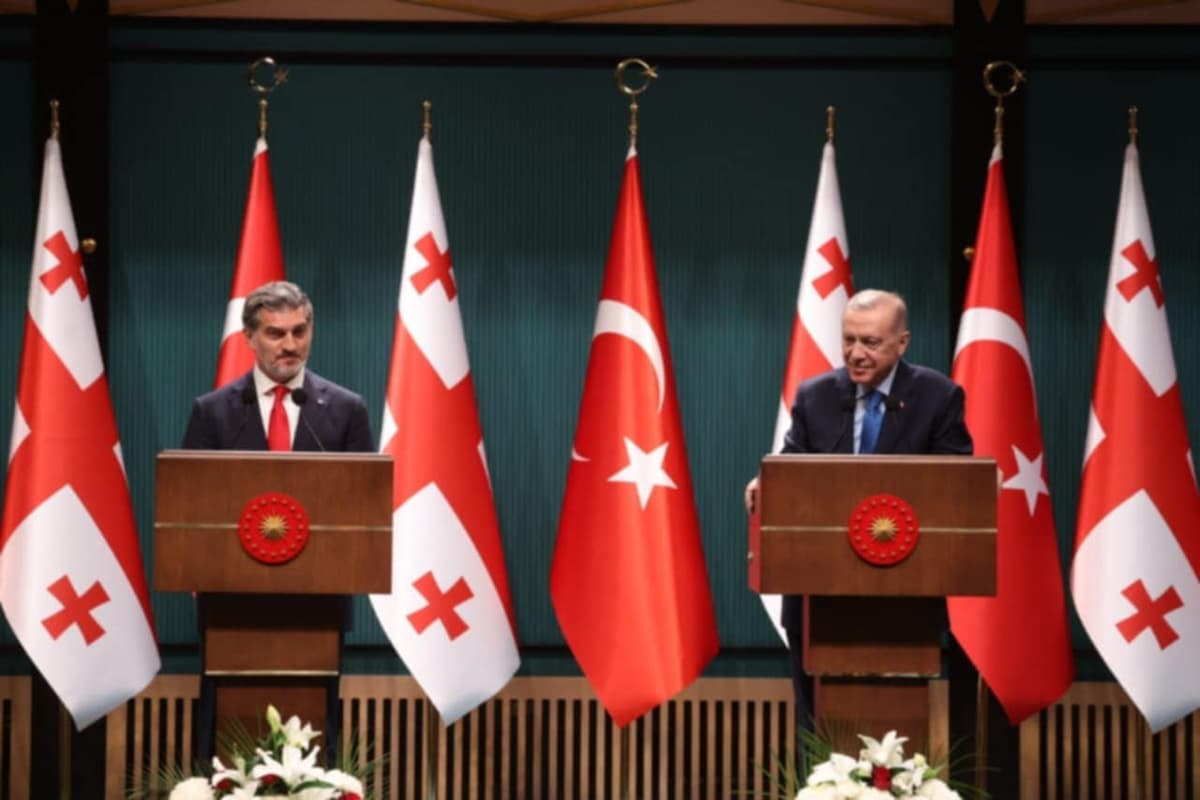 Georgian President invites Erdoğan to attend Georgia–Turkey football match