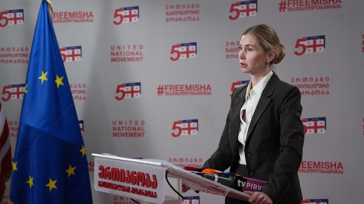 UNM leader Bokuchava: Georgian Dream Gov’t will soon end