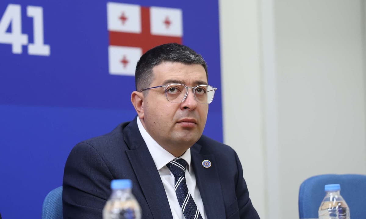 Georgian Dream official claims recent protests funded by foreign interests