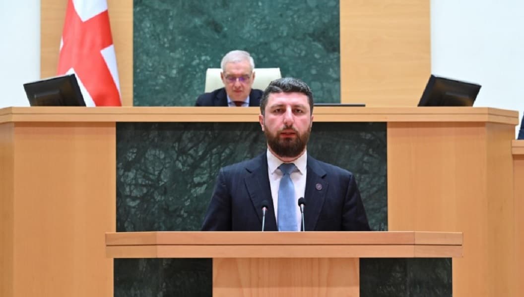 Georgian Parliament backs amendments to Grant Law, expands state oversight and criminal liability