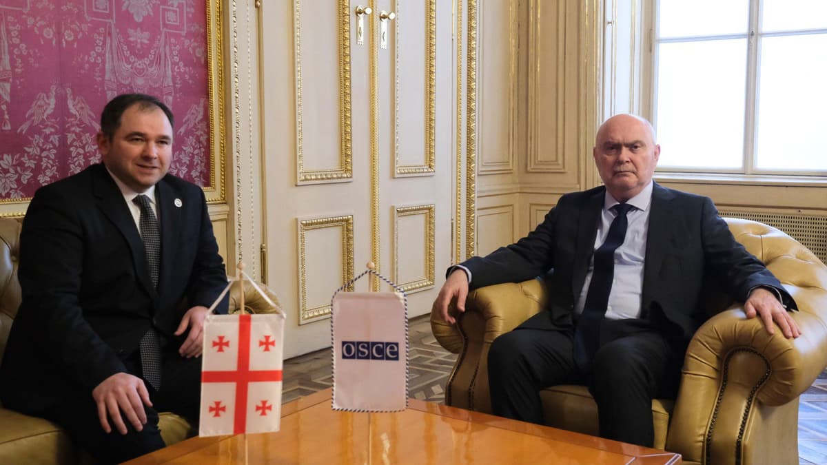 Foreign Committee Chair Samkharadze meets OSCE Secretary General in Vienna