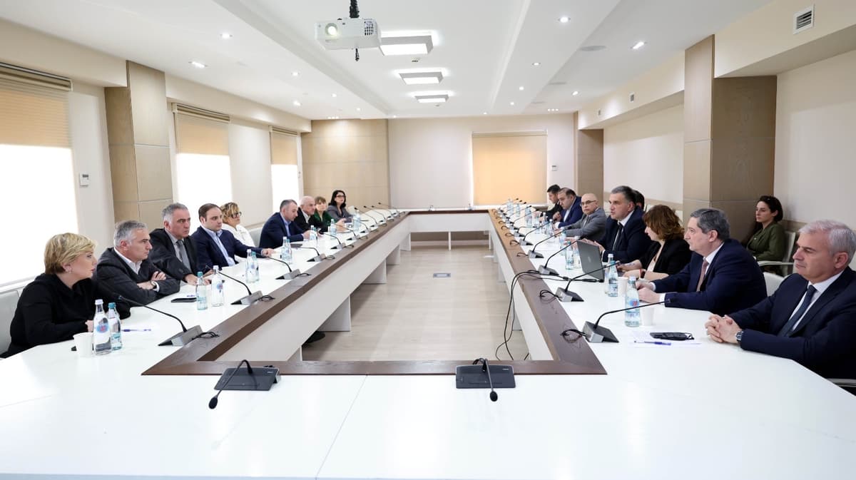 Gov’t announces new Spatial Development Master Plan for Telavi to boost economic, tourism potential