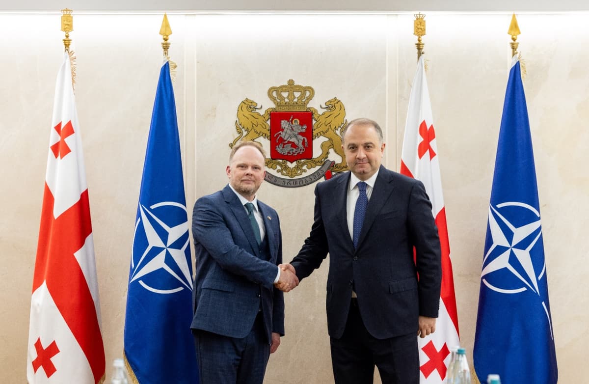 ირაკლი ჩიქოვანმა ნატოს გენერალური მდივნის სპეციალურ წარმომადგენელთან შეხვედრა გამართა